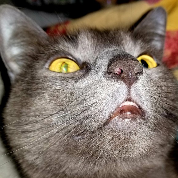 Meet your Posher, Maryanne - Picture 1 of 1